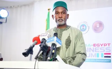 وزير خارجية نيجيريا يؤكد دعم بلاده لترشيح العناني لقيادة اليونيسكو