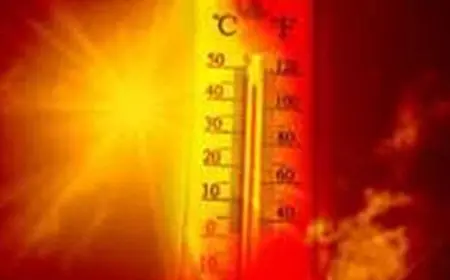 الأرصاد تحذر من طقس حار غدا مع ارتفاع الحرارة إلى 38 درجة في القاهرة