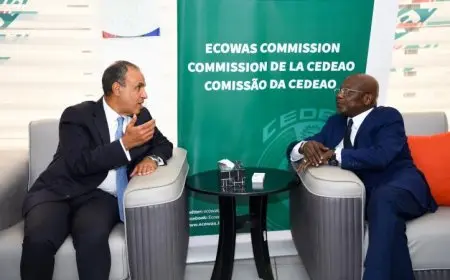 عبد العاطي يشدد على موقف مصر الراسخ ضد العنف في الساحل وغرب إفريقيا