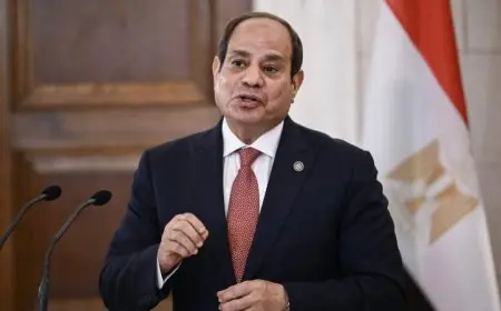 وزير الخارجية يسلم رسالة خاصة من الرئيس السيسي إلى رئيس نيجيريا