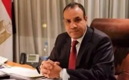 زيارة عبد العاطي لنيجيريا تعكس التزام مصر بتعزيز التعاون الدولي