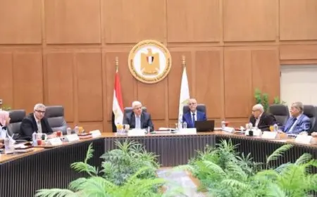 عاشور يؤكد أن الجامعات الأهلية توفر برامج متكاملة لتنمية كل إقليم جغرافي