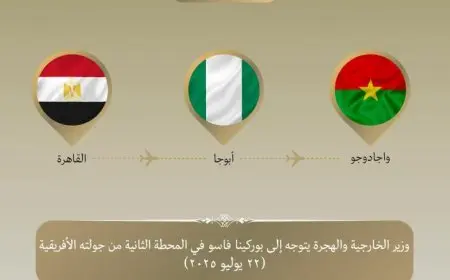 عبد العاطي يزور بوركينا فاسو لتعزيز التعاون في مجالات متعددة