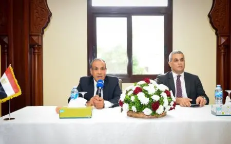 عبد العاطي يؤكد أهمية دور أبناء مصر في الخارج في تعزيز مكانة الدولة ودعمها