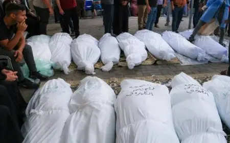 شهداء غزة يرتفعون إلى 59106 والإصابات تصل إلى 142511 منذ بداية العدوان