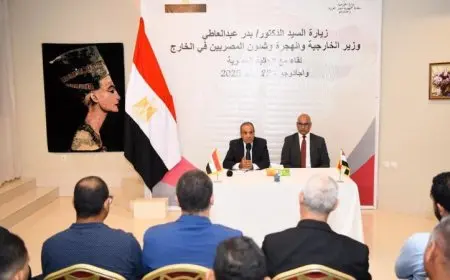 صور وزير الخارجية يكشف عن مبادرات جديدة لدعم المصريين في الخارج