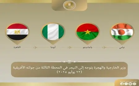 عبد العاطي يصل إلى النيجر في المحطة الثالثة لجولته المثيرة في غرب إفريقيا