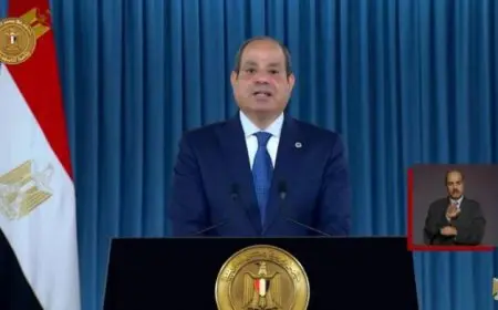 الرئيس السيسي يؤكد مناعة مصر الداخلية في مواجهة الفتن من خلال فيديو جديد