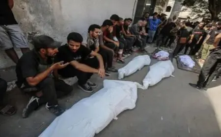 حصيلة العدوان الإسرائيلي على غزة تصل إلى 59219 شهيدًا وسط تصاعد المعاناة الإنسانية