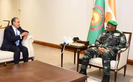 وزير الخارجية والهجرة ينقل رسالة هامة من الرئيس السيسي إلى رئيس النيجر