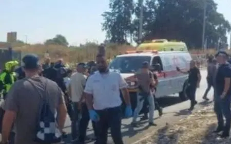 إصابة 9 أشخاص في حادث دهس ببلدة كفار يونا وسط إسرائيل