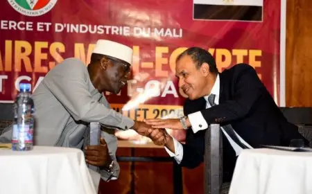 وزير الخارجية يطلق منتدى الأعمال المصري المالي لتعزيز العلاقات الاقتصادية