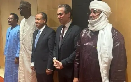 المسلماني يؤكد أن الأمن الحضاري للعالم الإسلامي ينطلق من تمبكتو في مالي