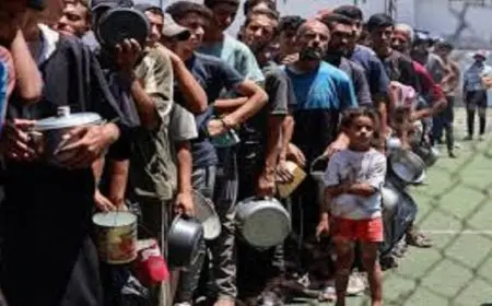 مسؤول طبي فلسطيني يحذر من انهيار كامل في الأمن الغذائي بقطاع غزة