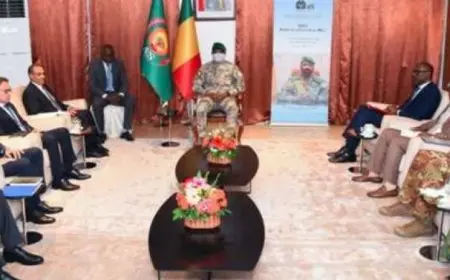 الرئيس السيسي يوجه رسالة خاصة إلى رئيس مالي عبر وزير الخارجية