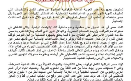 مصر تدين الحملات المغرضة لتشويه دعمها للقضية الفلسطينية