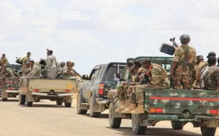 الجيش الصومالى يواصل تنفيذ عمليات عسكرية ضد الإرهابيين بولايتى هيرشبيلى وجلموج