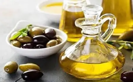 علماء يستخرجون لقاحًا من زيت الزيتون يعالج السرطان وكورونا