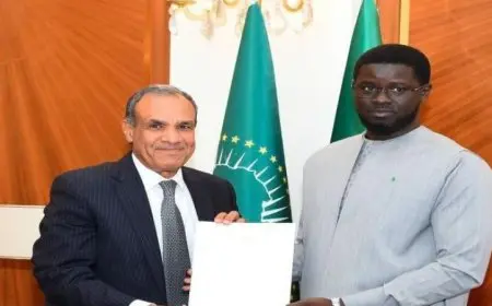 وزير الخارجية ينقل رسالة هامة من الرئيس السيسي إلى نظيره السنغالي