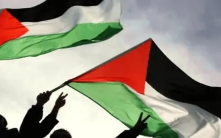واشنطن ترفض خطة ماكرون للاعتراف بدولة فلسطينية