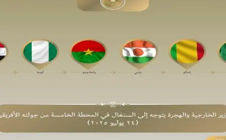 وزير الخارجية يتوجه إلى السنغال فى المحطة الخامسة والأخيرة من جولته فى غرب إفريقيا