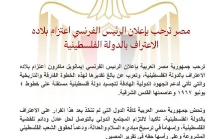 مصر تتبنى تصريح الرئيس الفرنسي حول اعتراف بلاده بالدولة الفلسطينية