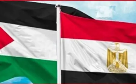 الخارجية الفلسطينية تقدر جهود مصر في دعم حقوق الشعب الفلسطيني