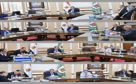 لجان ترشيح المتقدمين لمنصب عميد كليات جامعة القاهرة تكمل أعمالها بنجاح