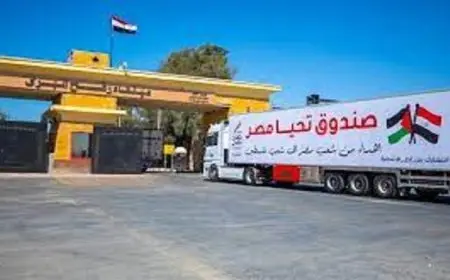 الهيئة الدولية لدعم فلسطين تشيد بجهود مصر في تعزيز تدفق المساعدات الإنسانية