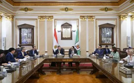 رئيس جامعة القاهرة يستعرض فرص التعاون مع وفد الجمعية الصينية للتعليم العالي