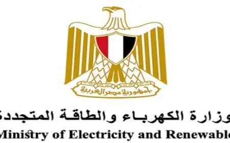 الأردن والإمارات ينفذان عمليات إنزال جوي لمساعدات إنسانية في غزة