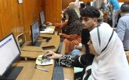 التعليم العالي تبدأ تنسيق المرحلة الأولى من الثانوية العامة 2025 تفاصيل مهمة للمستقبل الأكاديمي