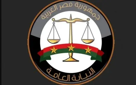 النيابة العامة تحيل متهمًا إلى محكمة الجنح الاقتصادية بسبب انتهاك القيم الإنسانية