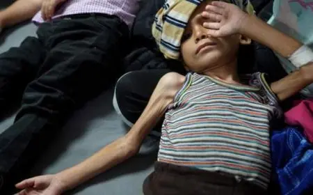 “الأعلى للإعلام”: حفظ شكوى “المهن الموسيقية” ضد طارق الشناوى وخالد أبو بكر