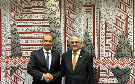 عبد العاطي يثني على التعاون المثمر بين مصر وباكستان في مجالات متعددة