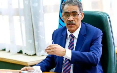 ضياء رشوان يؤكد أن الرئيس السيسي قاوم محاولات تهجير الفلسطينيين بشجاعة