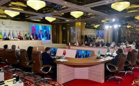 مصر تساهم في اجتماع فريق الاتصال لمنظمة التعاون الإسلامي حول الوضع في الصومال