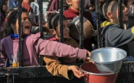 كندا تتعهد بتقديم 30 مليون دولار مساعدات إنسانية لغزة