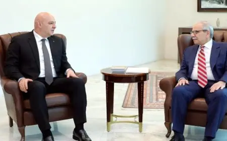 رئيس لبنان يبحث مع نواف سلام الأوضاع العامة فى البلاد