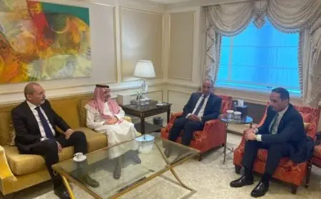 وزير الخارجية يتناول مع نظرائه القطري والأردني والسعودي خطة إعادة إعمار غزة