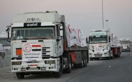 دخول ثالث قوافل زاد العزة من مصر إلى غزة محملة بـ1300 طن من المساعدات الإنسانية
