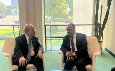 عبد العاطي يشدد على التزام مصر بالوساطة لوقف إطلاق النار في غزة