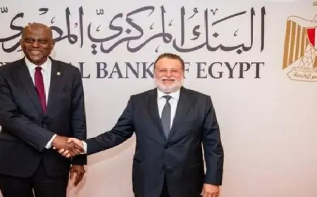 محافظ البنك المركزى يبحث مع نظيره النيجيرى سبل تعميق التعاون المشترك بين البنكين