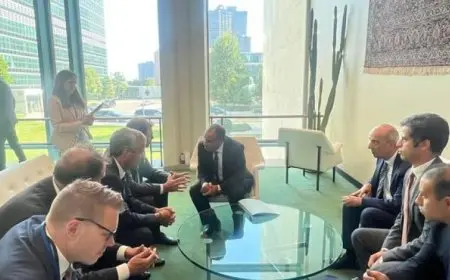 وزير الخارجية يدعو لتعزيز التعاون الدولي من أجل حماية أرواح الشعب الفلسطيني