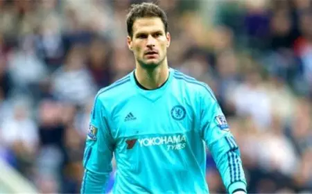 ليستر سيتي يتعاقد مع الحارس المخضرم بوجوفيتش