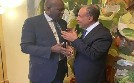 عبد العاطي يعزز التعاون مع بريطانيا في مجالات متعددة لتعزيز الشراكة الاستراتيجية