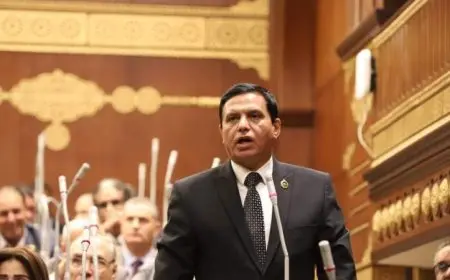 وكيل دفاع الشيوخ يؤكد أن كلمة الرئيس السيسي تكشف زيف حملات الخونة ضد الوطن