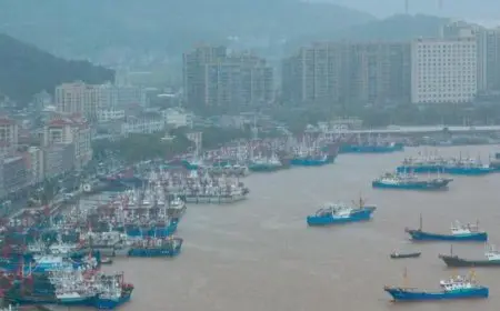 الإعصار كو-ماي يضرب الساحل الشرقي للصين ويلحق دمارًا بمقاطعة جديدة