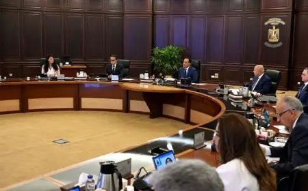 موافقة الوزراء على نقل تبعية مستشفى الخارجة إلى كلية الطب بجامعة الوادي لتعزيز الخدمات الصحية