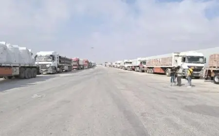 مايا مرسي تكشف عن إدخال 4500 طن من المساعدات الغذائية الأساسية إلى قطاع غزة في 4 أيام